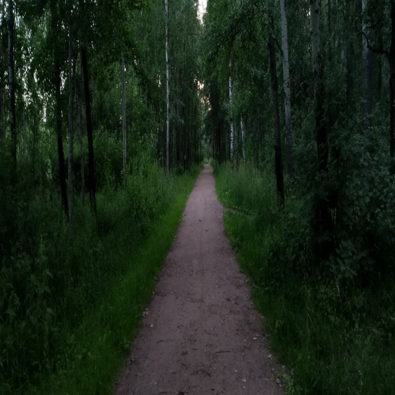 Create meme: peterhof park, Park , a path in the park