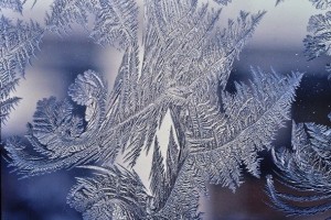 Create meme: frost patterns on glass, frosty patterns on the window, frost