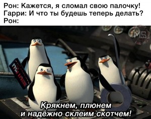 Создать мем: пингвины плюнем и надежно склеим скотчем, пингвины из мадагаскара крякнем плюнем, пингвины и мадагаскара крякнем прлюнем и надежно склеим скотчем