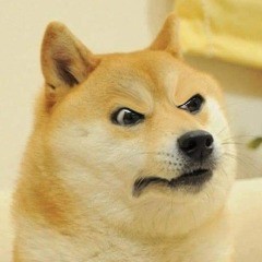 Создать мем: собака мем, doge, догги мем