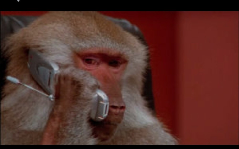 Создать мем: обезьянка с трубкой телефона, обезьянка с телефоном