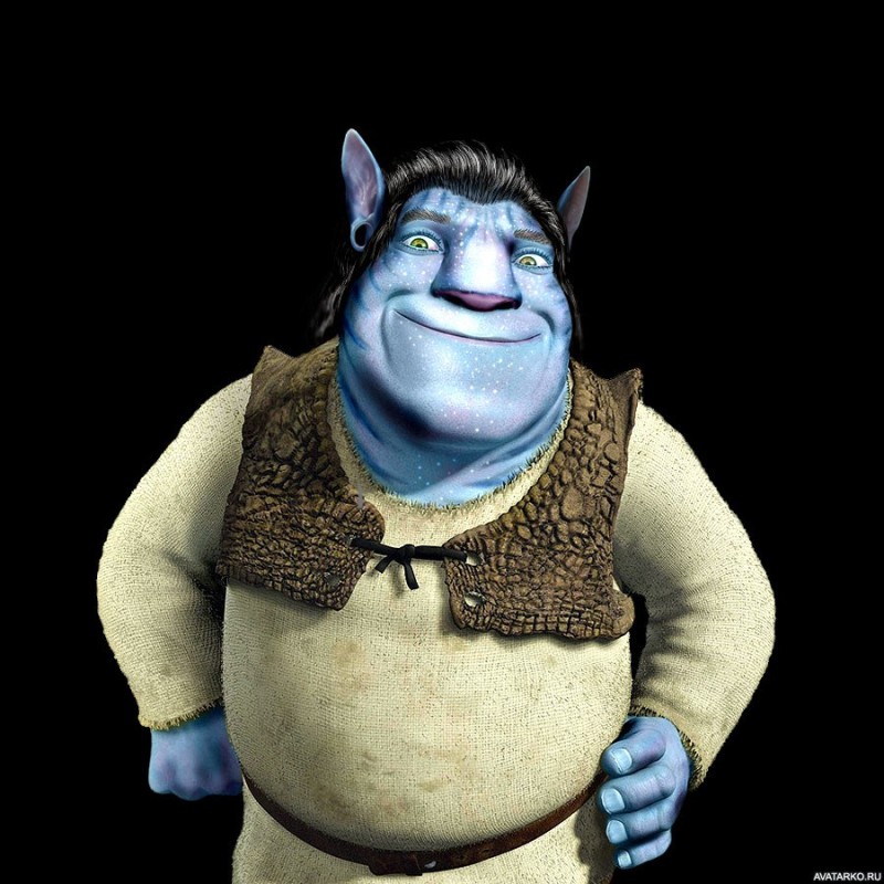 Create meme: Shrek Shrek, the characters of Shrek, shrek avatar