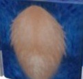 Create meme: hair , The fox's tail, wig 