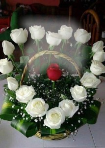 Создать мем: букет из белых роз, цветы белые розы, букет белых роз