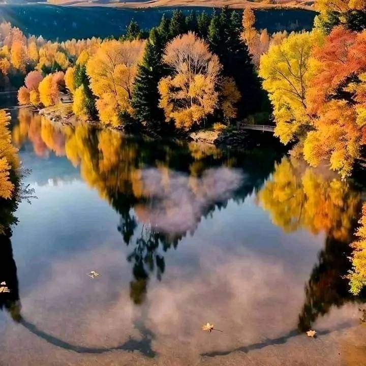 Создать мем: осень лес, красота осени, зеркальные воды осень