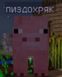 Create meme: minecraft, the pig's head minecraft, pig from minecraft