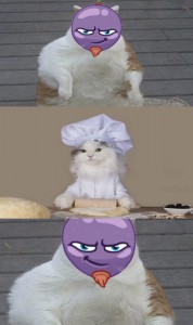 Create meme: cats, humor cats, cats