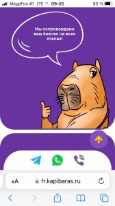 Create meme: business, the capybara, screenshot