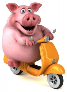 Create meme: pig on a motorcycle