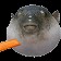 Создать мем: рыба фугу, Мелкий предмет, pufferfish eating a carrot