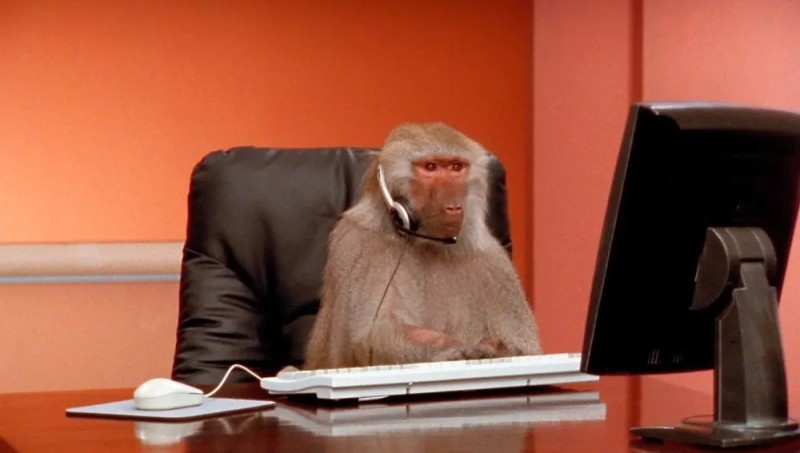 Create meme: monkey behind a computer, monkey in the office, monkey in front of the computer