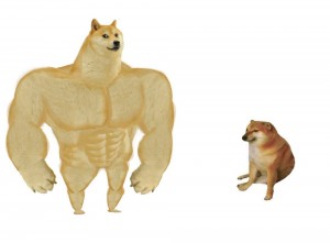 Создать мем: накаченный пес мем, doge качок, собака с мускулами из мема
