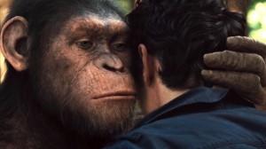 Create meme: monkey whispers in my ear meme, planet of the apes meme, planet of the apes 2011 