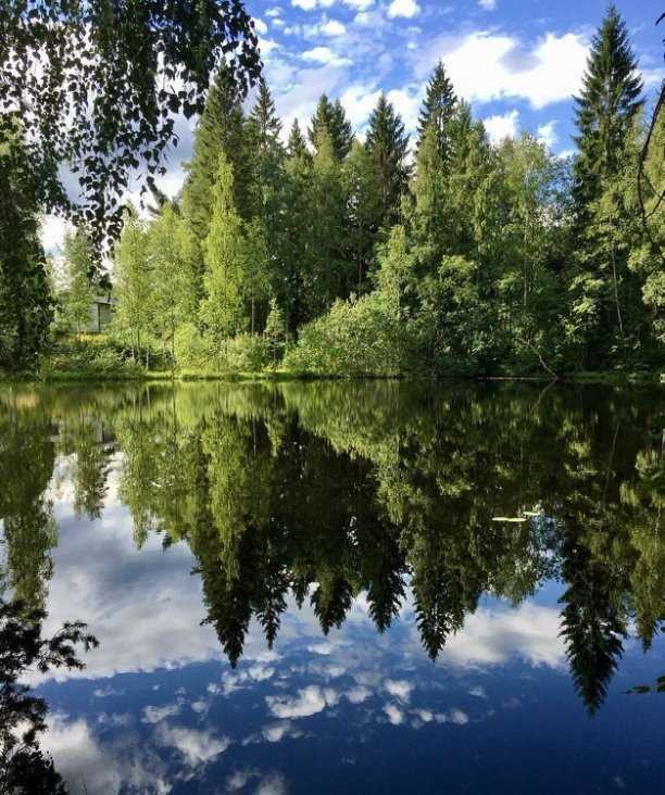 Создать мем: лесное озеро, озеро, пейзаж с озером