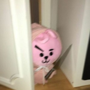 Create meme: bt21 pillow fake, Soft toy, bt21 cooky pillow