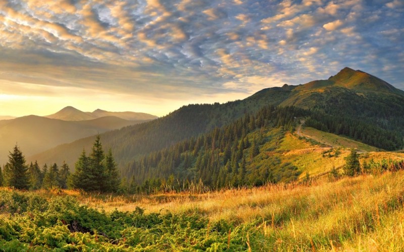 Create meme: wooded Carpathians, Nature of the mountain morning, nature landscape