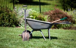 Create meme: spade, garden wheelbarrow, neighborhood