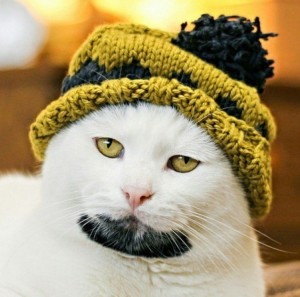 Create meme: cool cat, Kote, the cat in the hat
