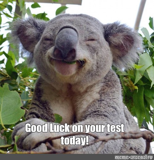 good luck test meme