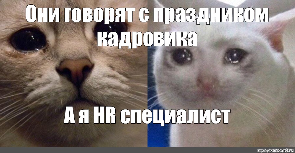 Поделиться в Pinterest. #грустный котик мем. 