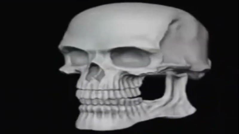 Create meme: skull, the skull smiles meme, skeleton skull