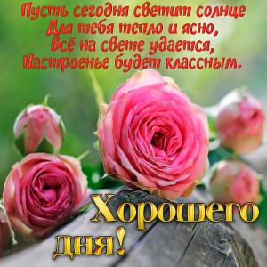 Create meme: Flowers, beautiful wishes, flowers roses