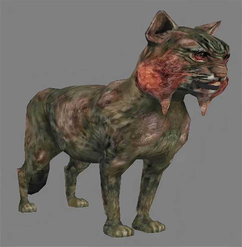 Create meme: the mutant stalker cat, stalker cat bayun, Chernobyl. exclusion zone
