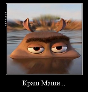 Found on Bing from madagascar.dreamworks.com  Мадагаскар, Мемы, Бегемот