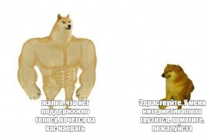 Создать мем: накаченный doge мем шаблон, качок доге и чимс мем, мускулистая собака