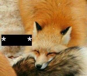 Create meme: Fox red, Fox makes Kus, little Fox
