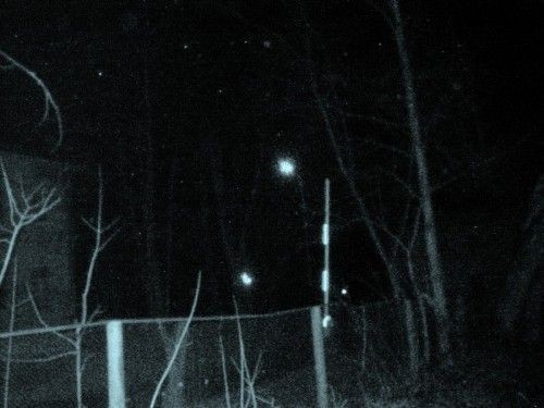 Создать мем: камера ночного видения в лесу, призрак в реале, кологривский лес фотоловушки на солонцах