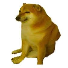 Create meme: doge, cheems doge, dog