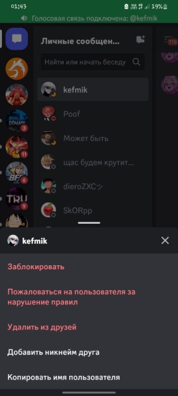 Create meme: a screenshot of the text, as on the phone, discord app