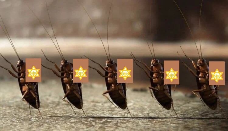 Create meme: cockroach , cockroaches with names, the cockroach is ordinary