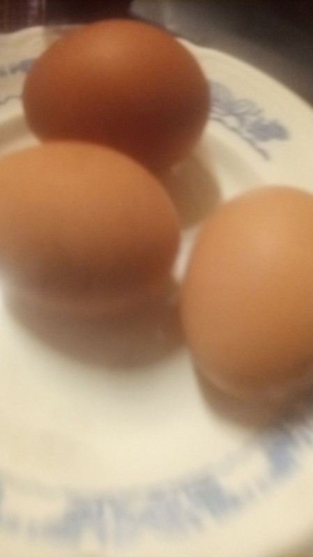 Create meme: homemade eggs, egg , raw eggs