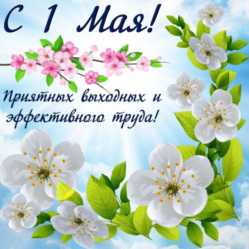 Create meme: congratulations on May 1, May holidays, May 1 spring festival