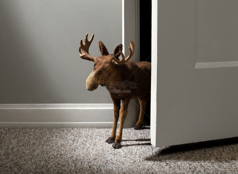 Create meme: deer , Moose opens the door, moose with horns