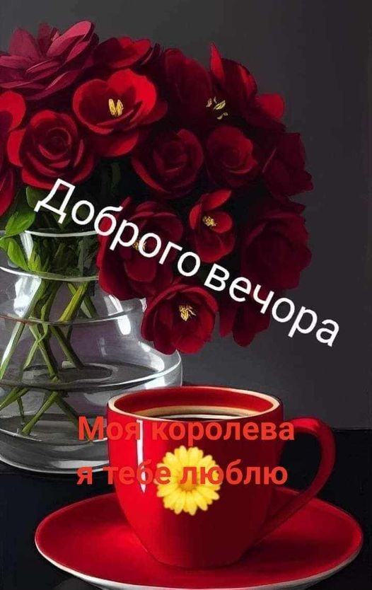 Create meme: friends good morning, beautiful flowers , Good morning and have a wonderful day