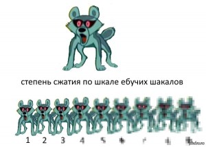 Создать мем: 10 шакалов из 10, степень сжатия по шкале шакалов, шакал