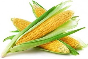 Create meme: corn seeds, kukurudza