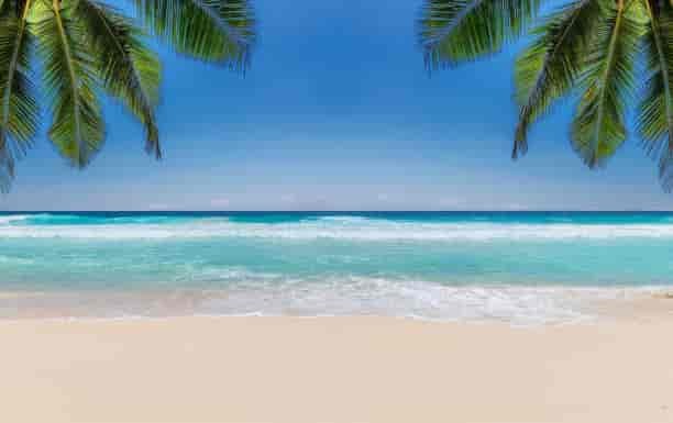 Create meme: centek CT-8232 slim TV, tropical beach, sea beach palm trees