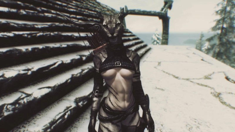 Create meme: the elder scrolls v: skyrim, skyrim kajit, kajit from skyrim