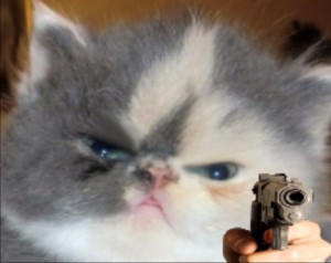 Создать мем: кот кот, кошка, кот с пистолетом мем извинись