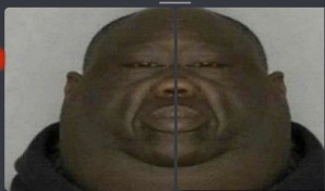 Create meme: fatty Niger, fat nigga, thick ebony