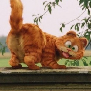 Создать мем: Гарфилд 2, garfield, гарфилд кот