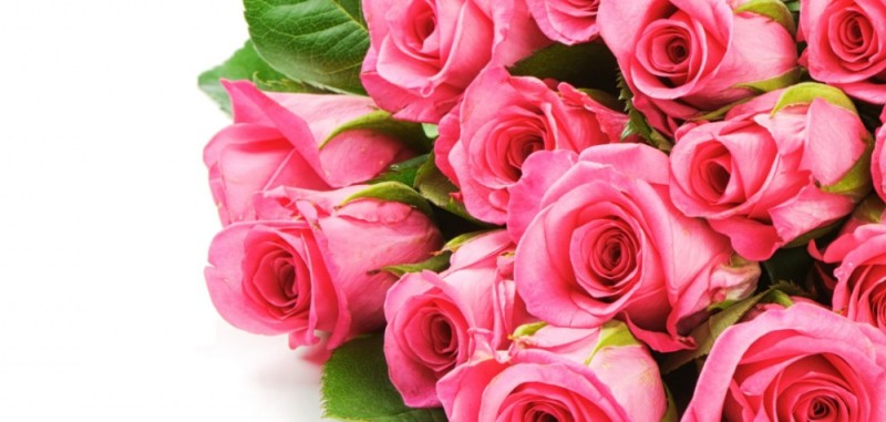 Create meme: pink roses greeting card, flowers pink roses, postcard roses