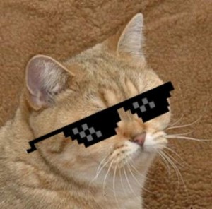 Создать мем: котик деал виз ит, кошка, cyka blyat cat