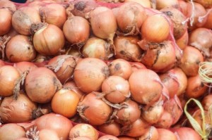 Create meme: what sort of onions to choose for summer?, onion, onion rustic
