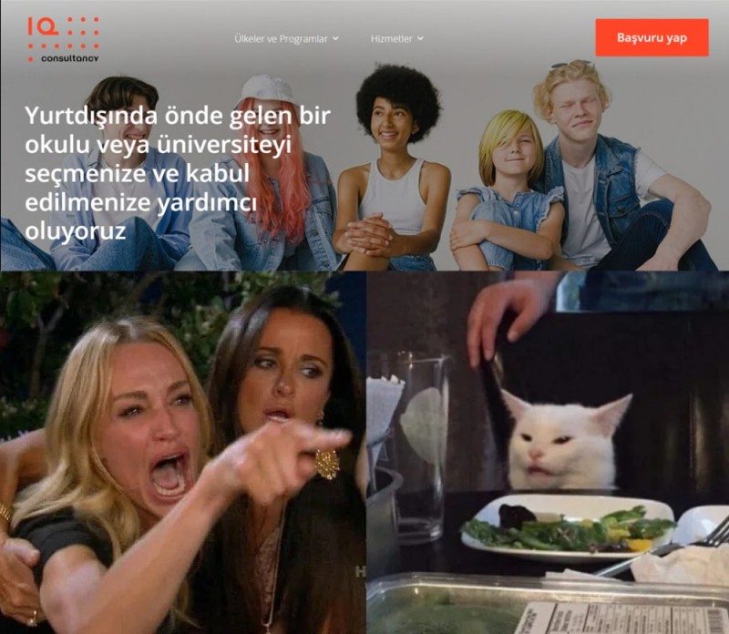 Create meme: MEM woman and the cat, cat meme , Kate Hudson and the cat meme