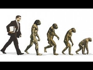 Создать мем: теория эволюции, звенья эволюции человека, антропогенез этапы эволюции человека